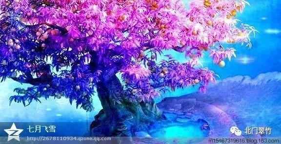 小猫钓鱼开船版最新版下载
